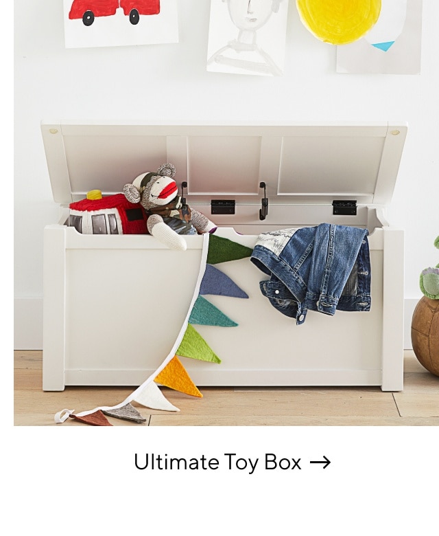 ULTIMATE TOY BOX