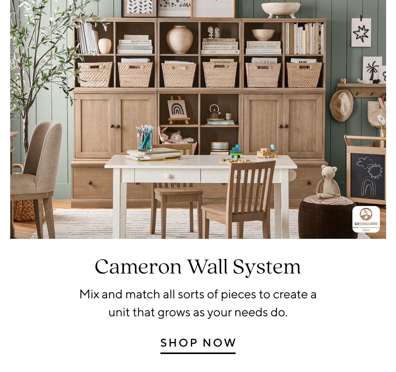 CAMERON WALL SYSTEM