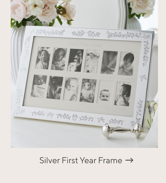 FIRST YEAR FRAME