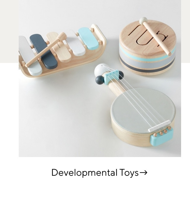 DEVELOPMENTAL TOYS