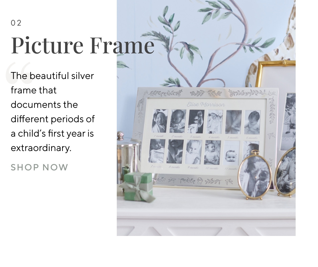 PICTURE FRAME