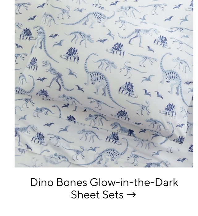 DINO BONES