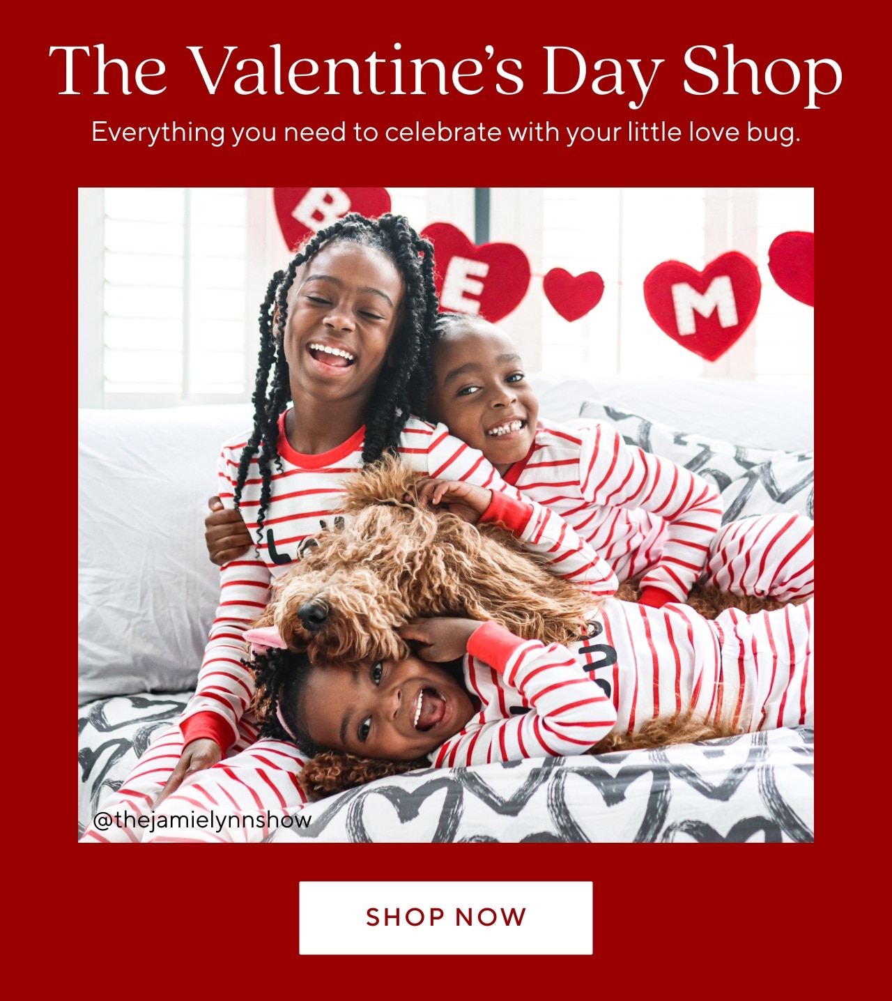 THE VALENTINES DAY SHOP