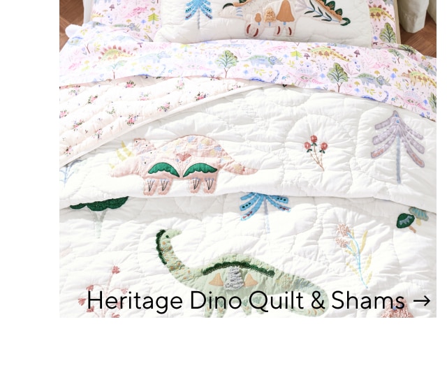  HERITAGE DINO QUILT AND SHAMS