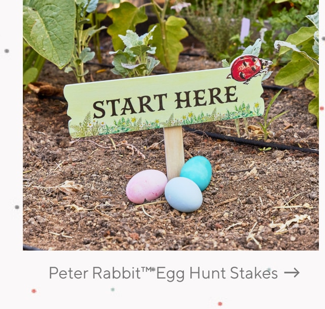 EGG HUNT STAKES