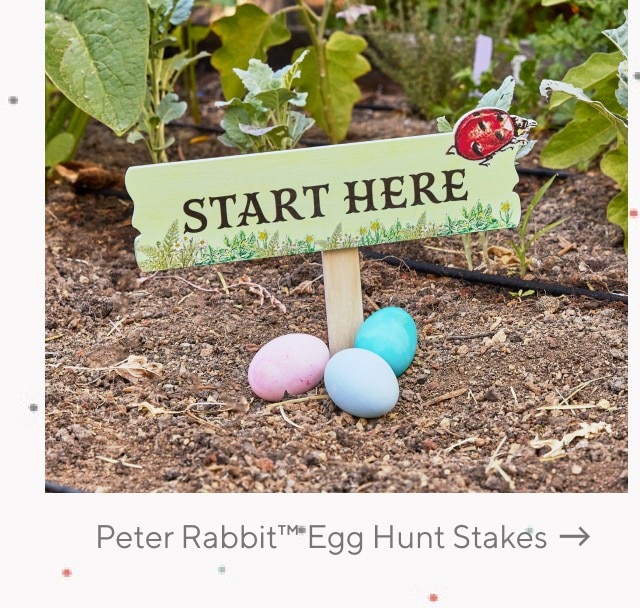 PETER RABBIT EGG HUNT STAKES