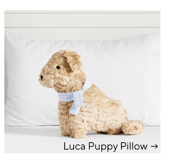 LUCA PILLOW