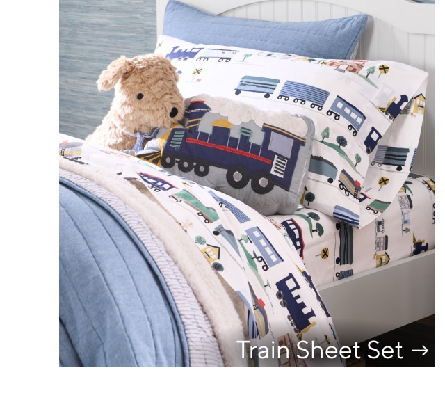 TRAIN SHEET SSET