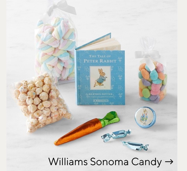 WILLIAMS SONOMA CANDY