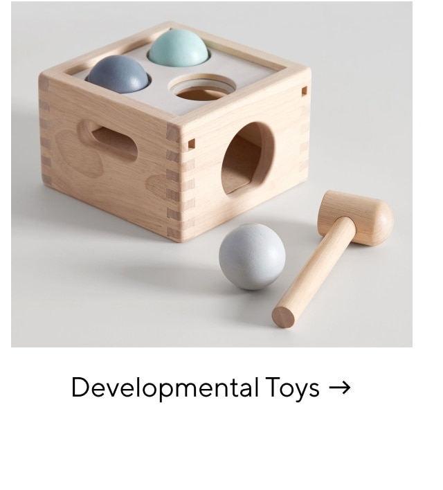 DEVELOPMENTAL TOYS