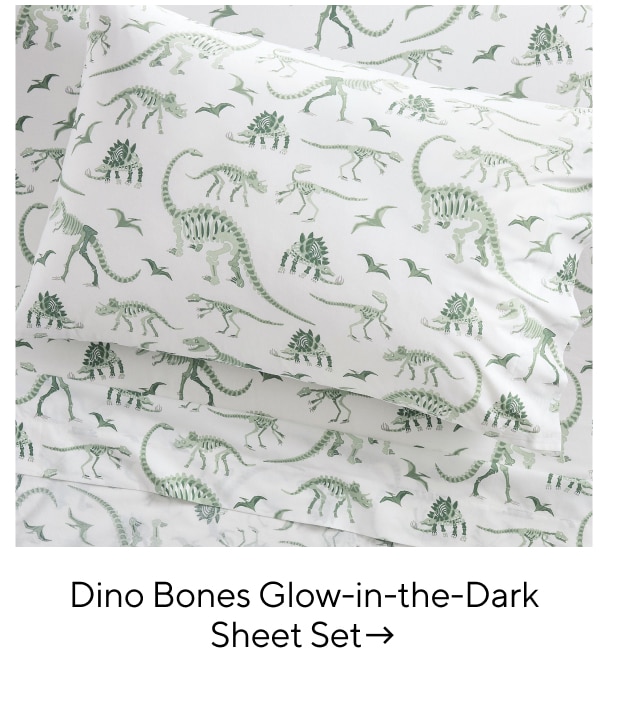 DINO BONES