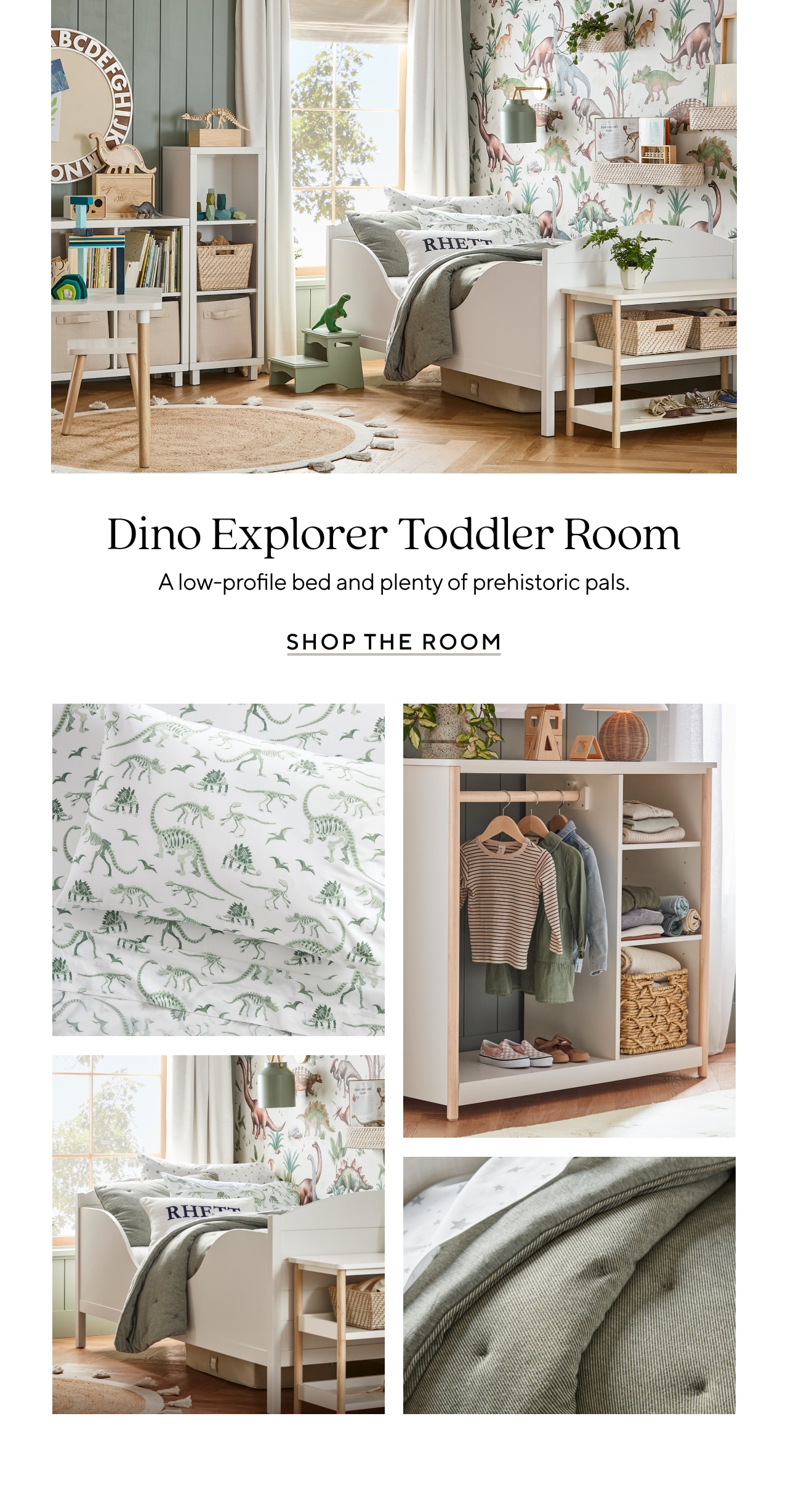 DINO TODDLER ROOM