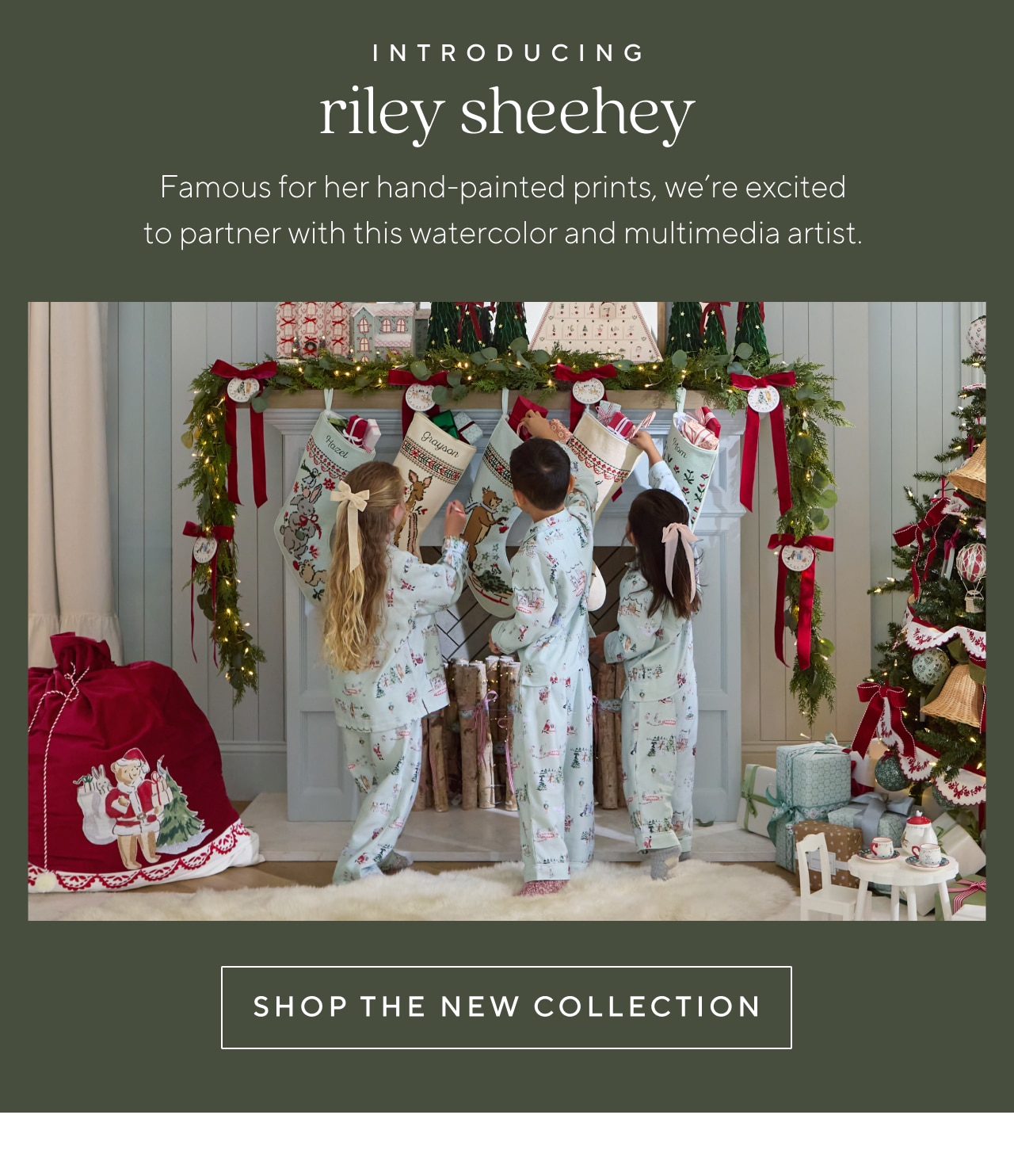 introducing riley sheehey