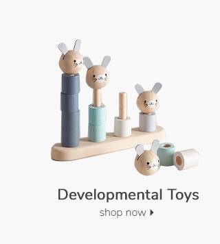 DEVELOPMENTAL TOYS