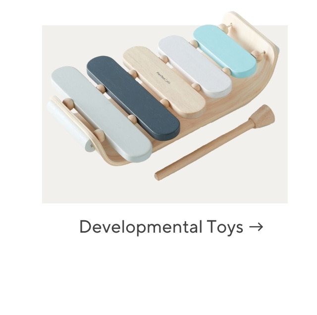 developmental toys