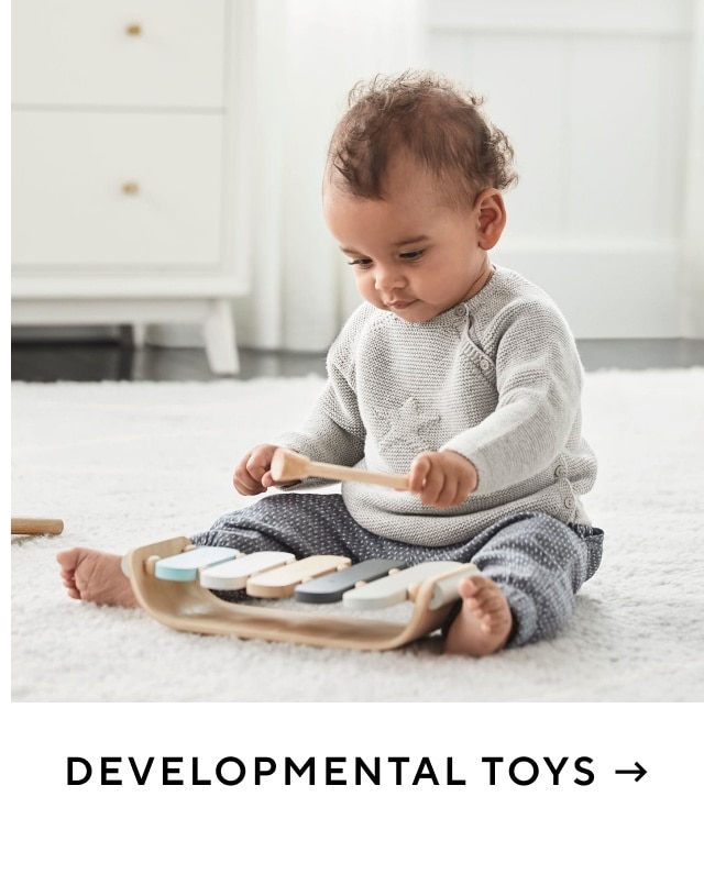 Developmental Toys