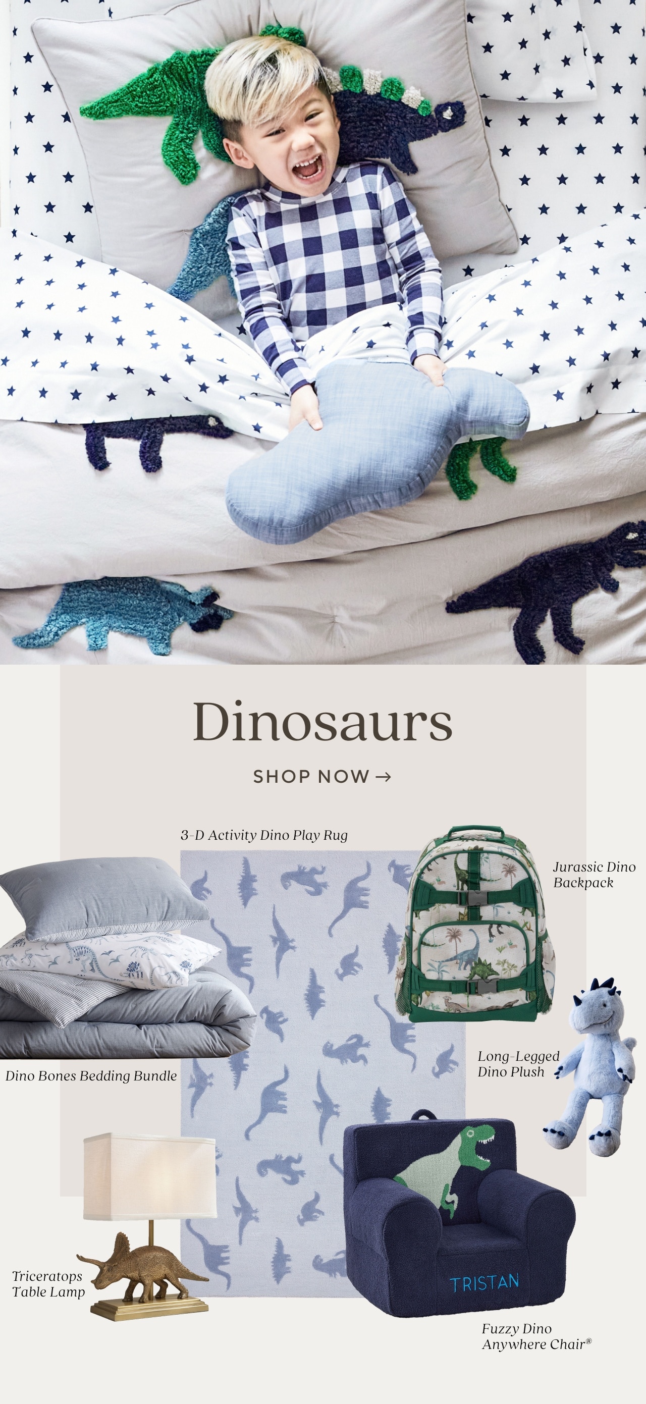 dinosaurs. shop now