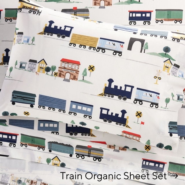 train organic sheet set