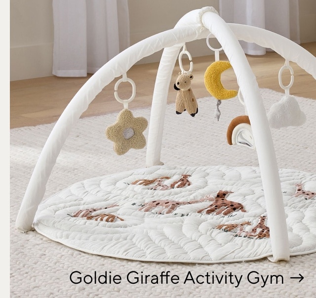 Activity Gym