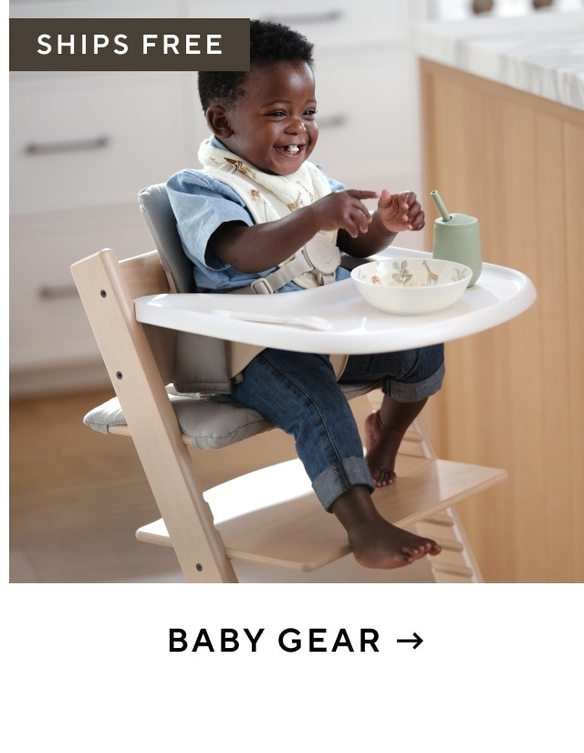 Baby Gear