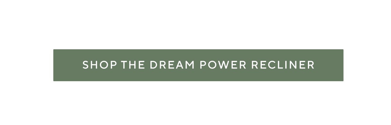 shop the dream power recliner