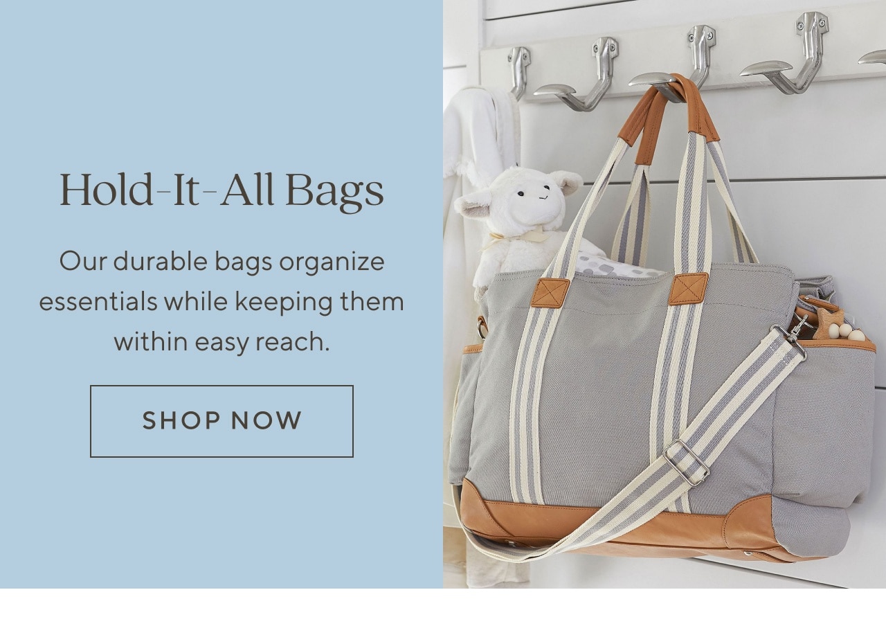 Hold-it-all bags