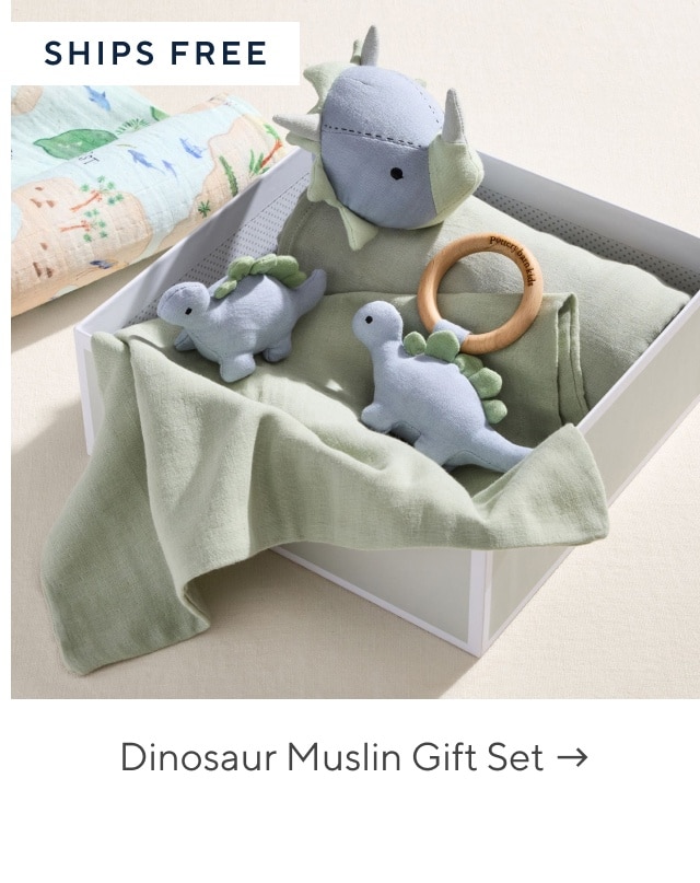 dinosaur muslin gift set