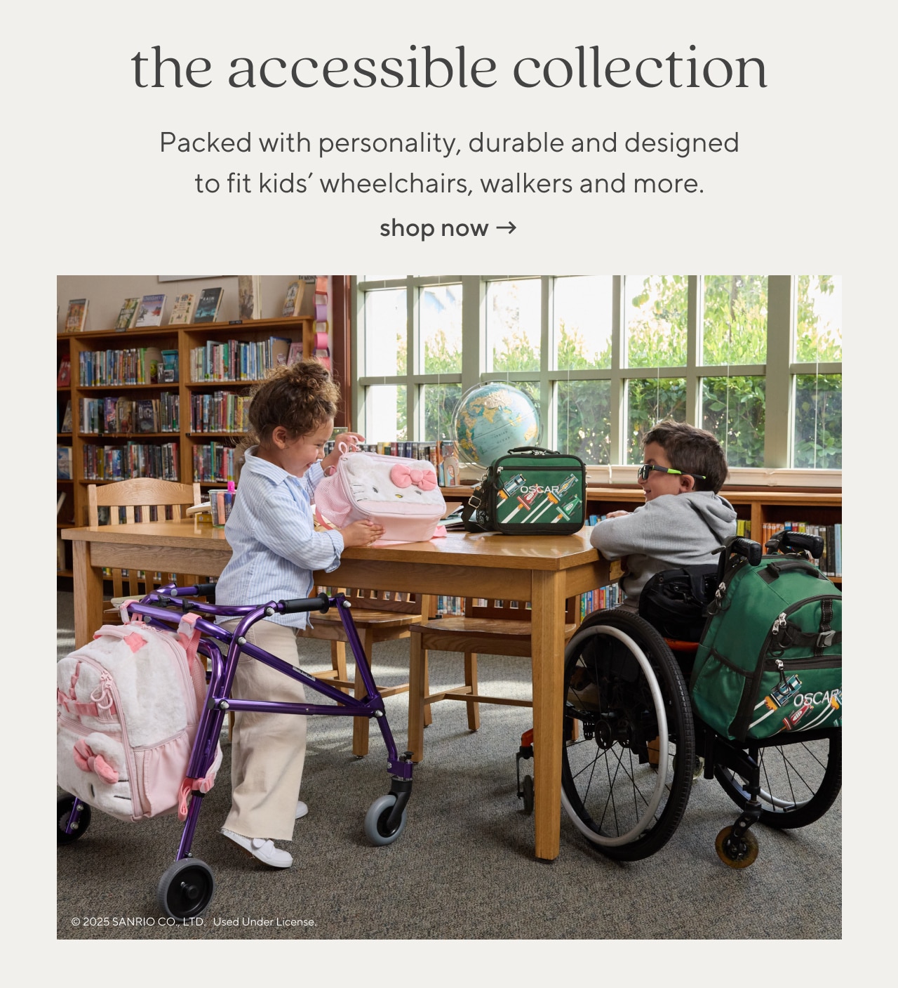 the accessible collection