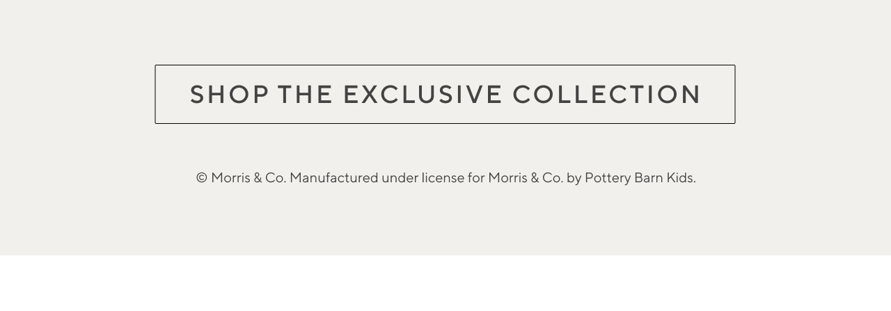 shop the collection