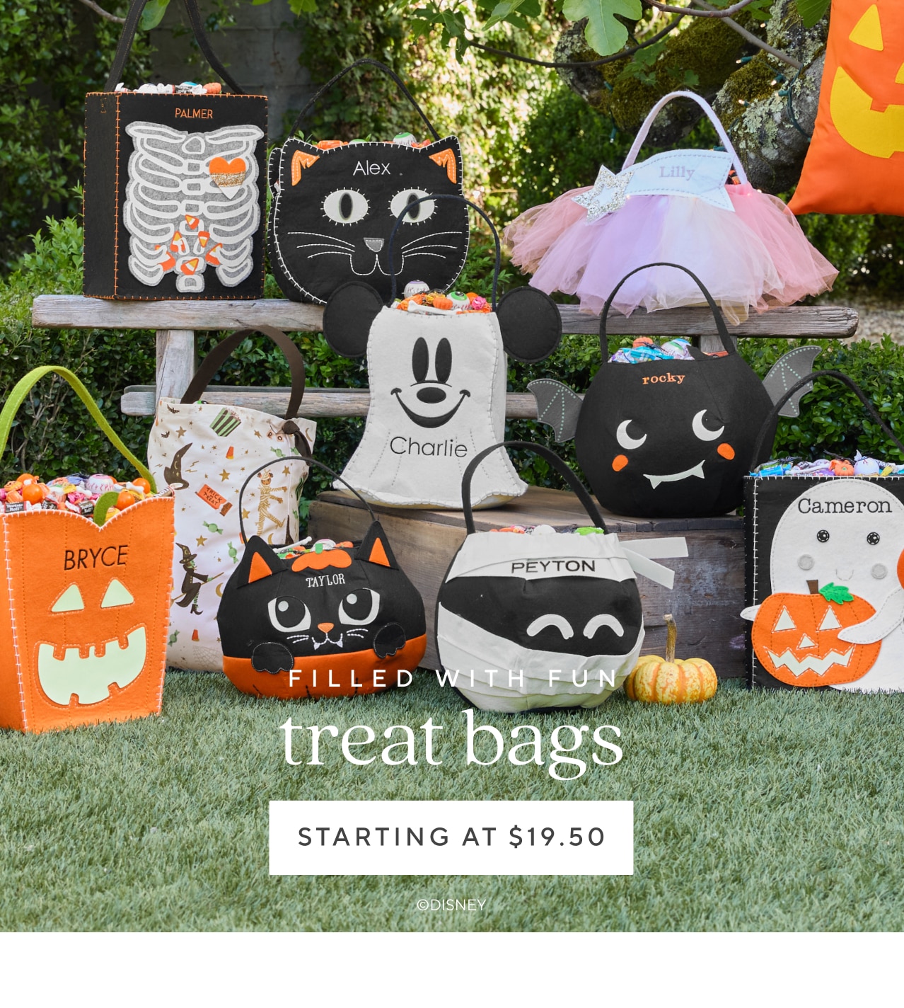 treat bags starting at $19.50