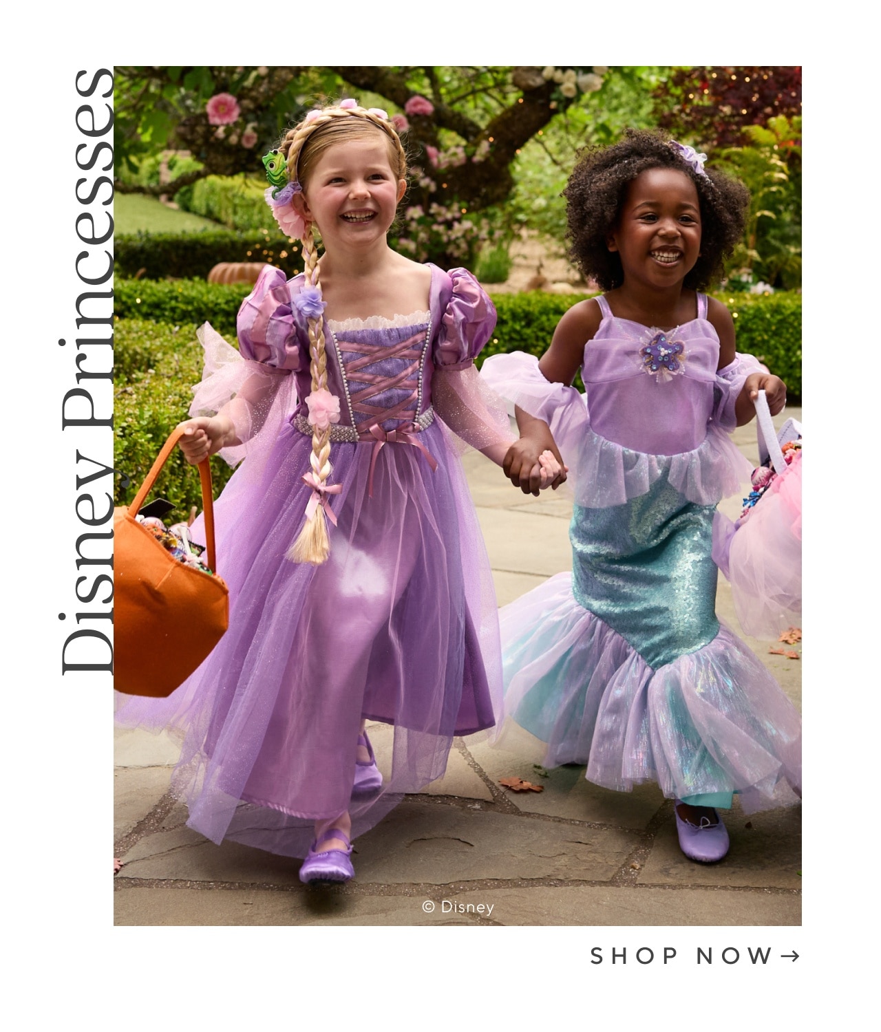 Disney Princesses. Shop now