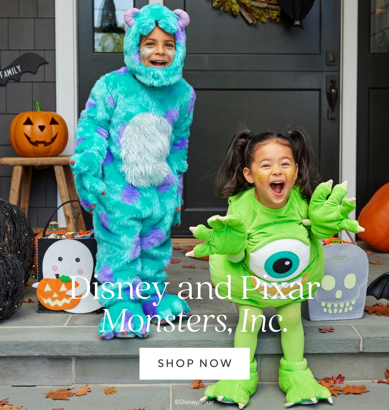 Disney and Pixar Monsters, Inc. Shop now