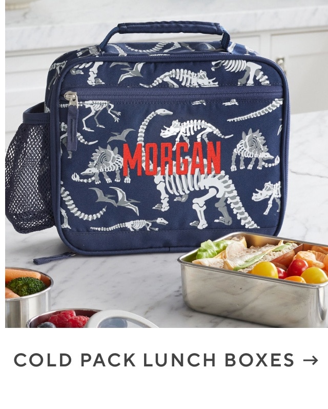 cold pack lunch boxes