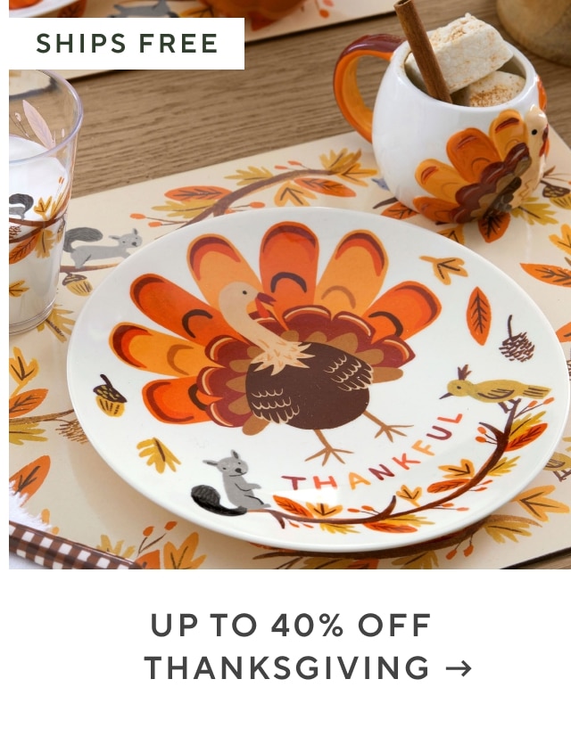 up to 40% off thanksgiving
