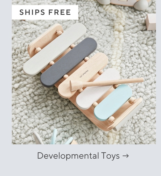 developmental toys