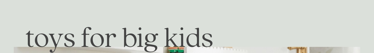 toys for big kids