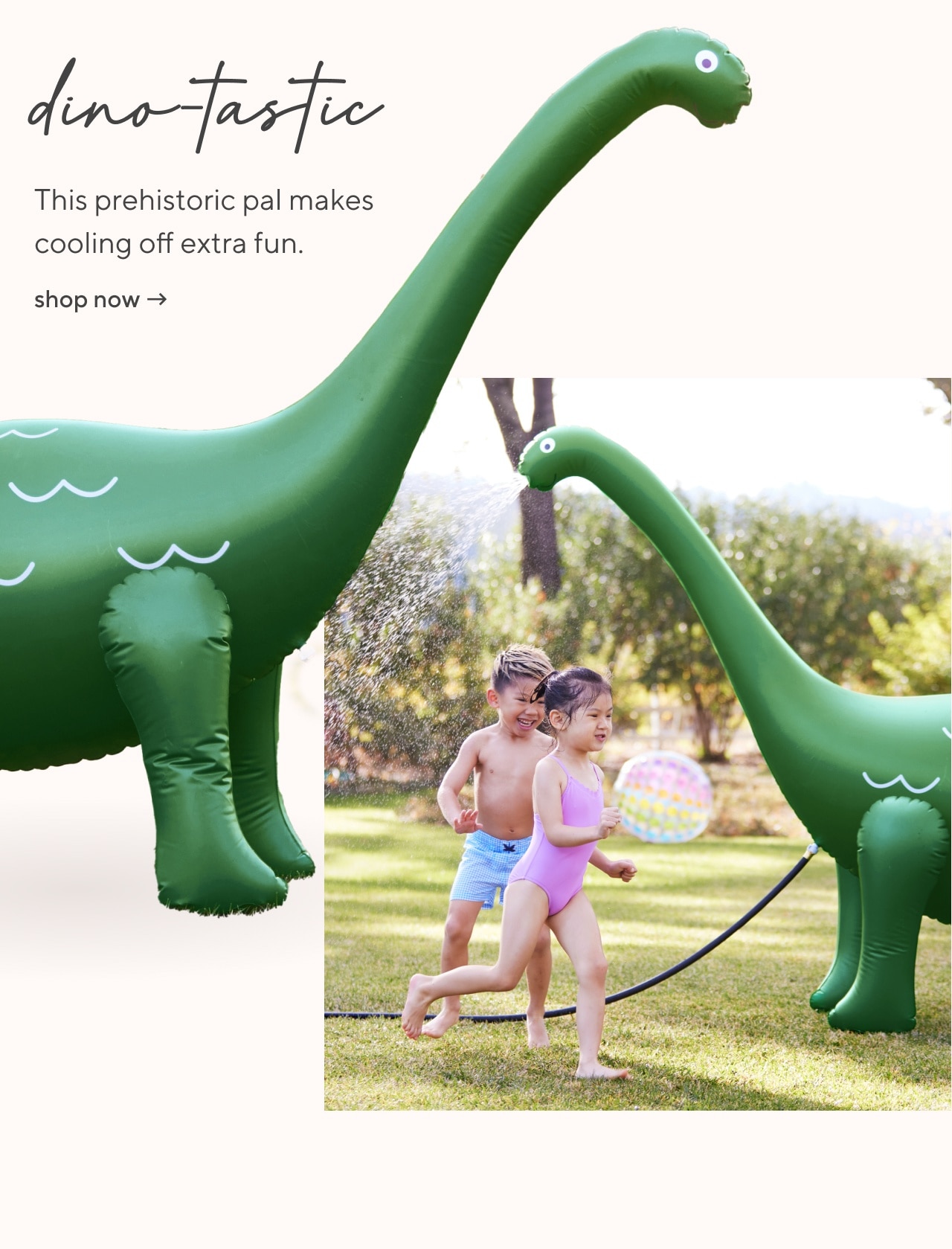 Dino Taste