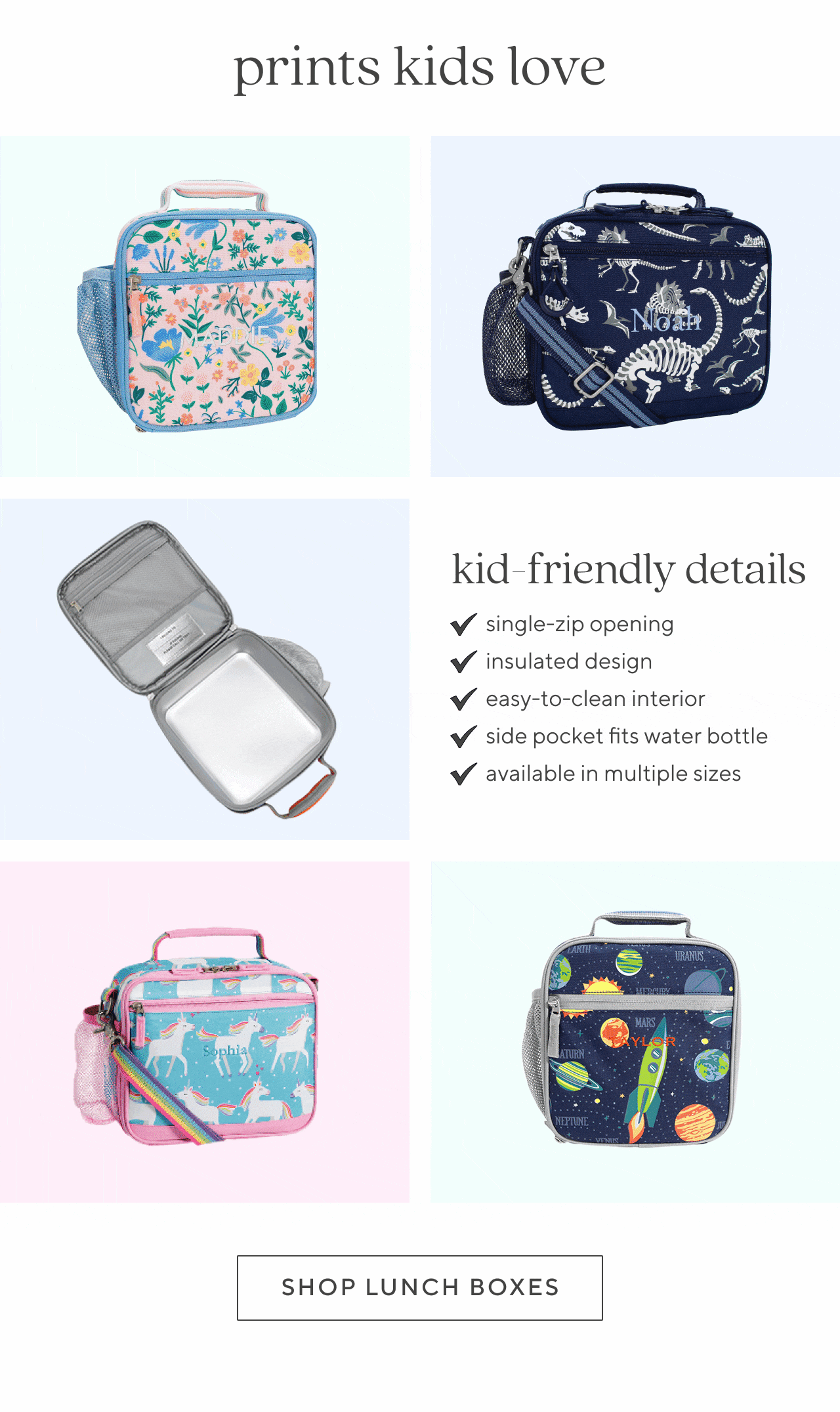 shop lunch boxes