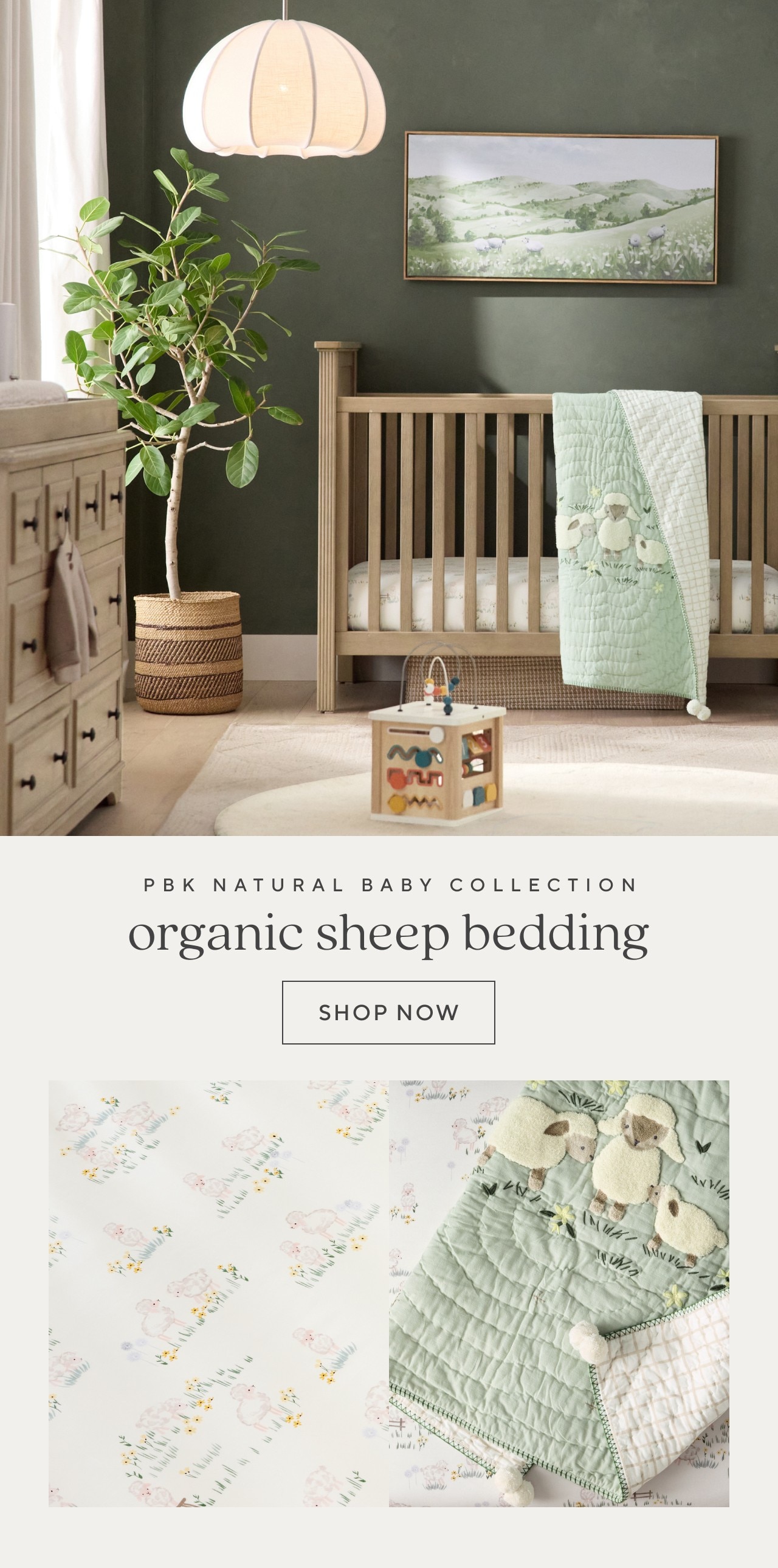 organic sheep bedding