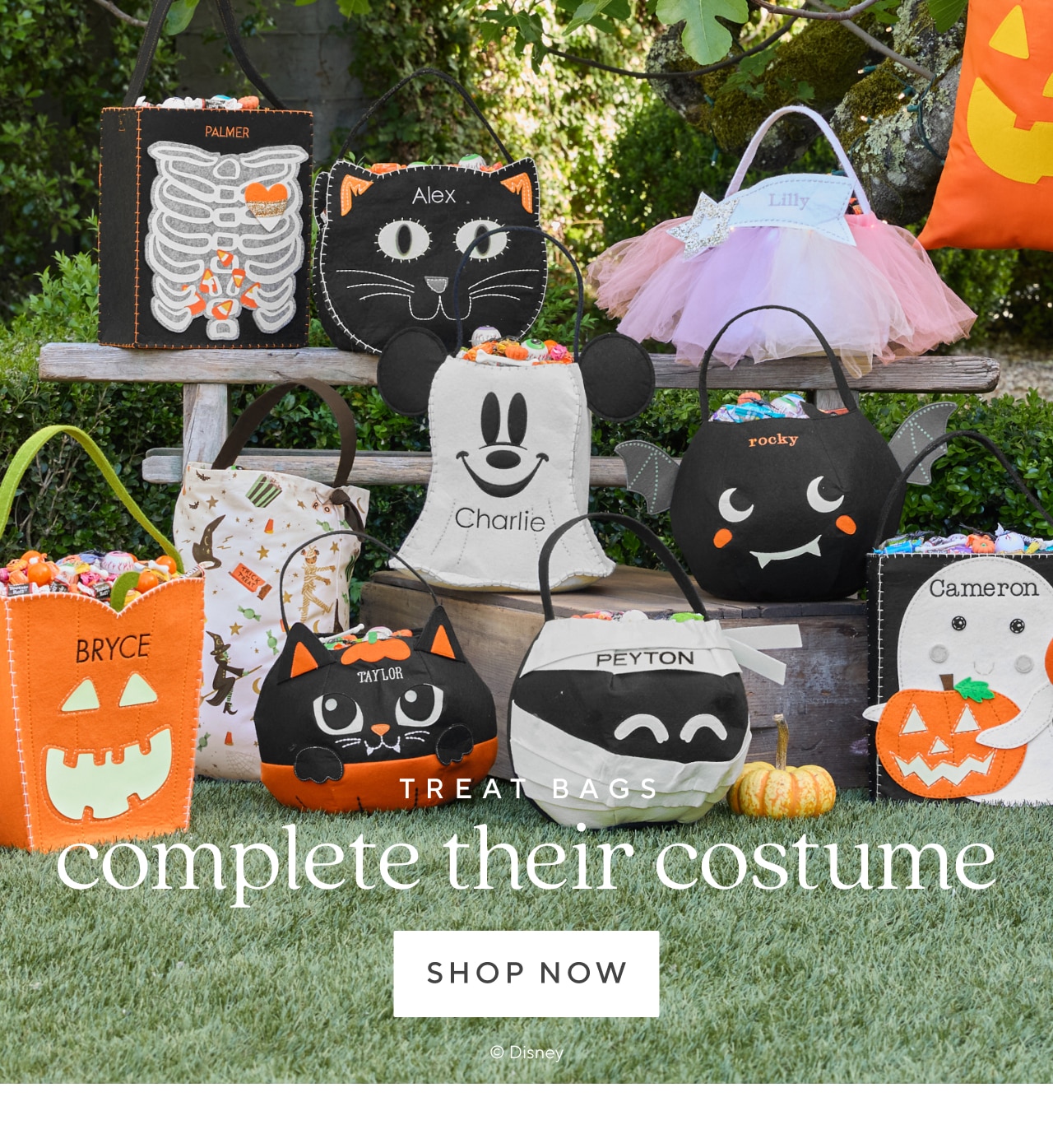 complete their costume. shop now