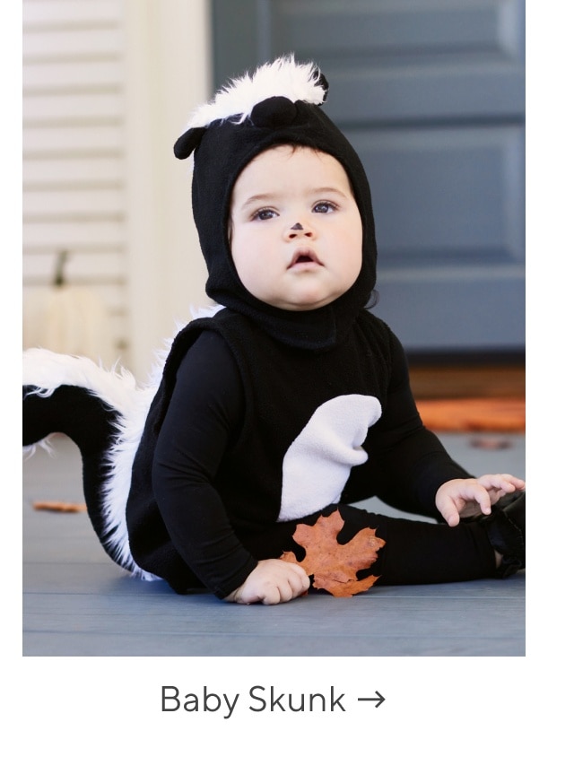 baby skunk
