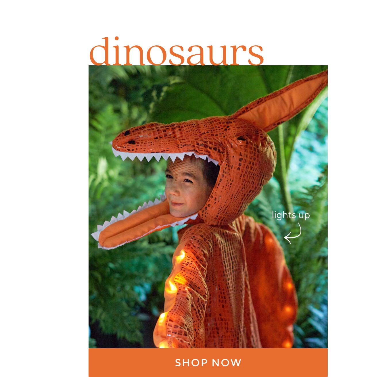 dinosaurs. shop now