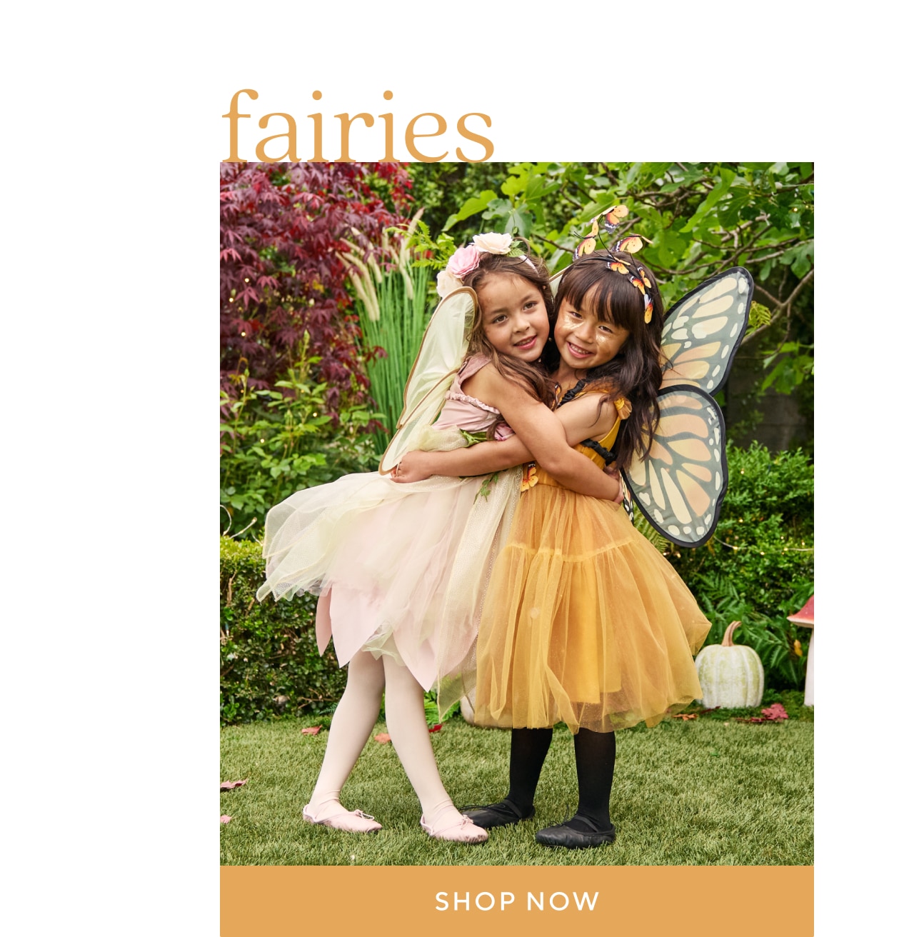 fairies. shop now