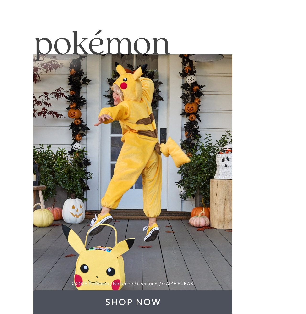 pokémon. shop now