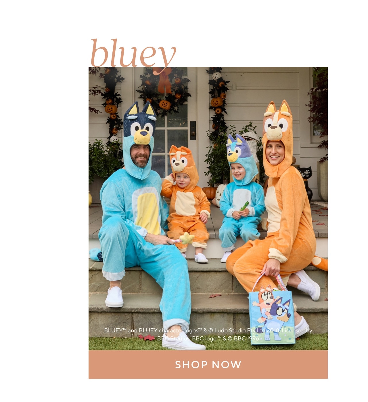 bluey. shop now