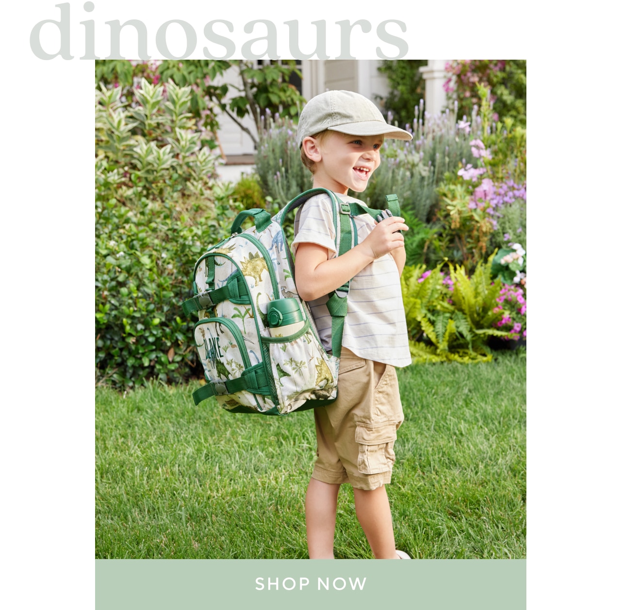 dinosaurs. shop now