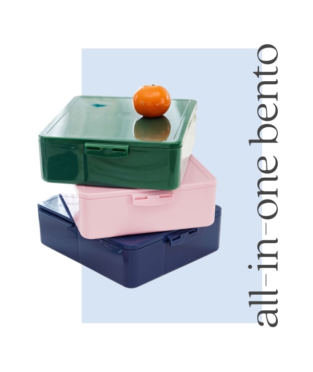 all in one bento