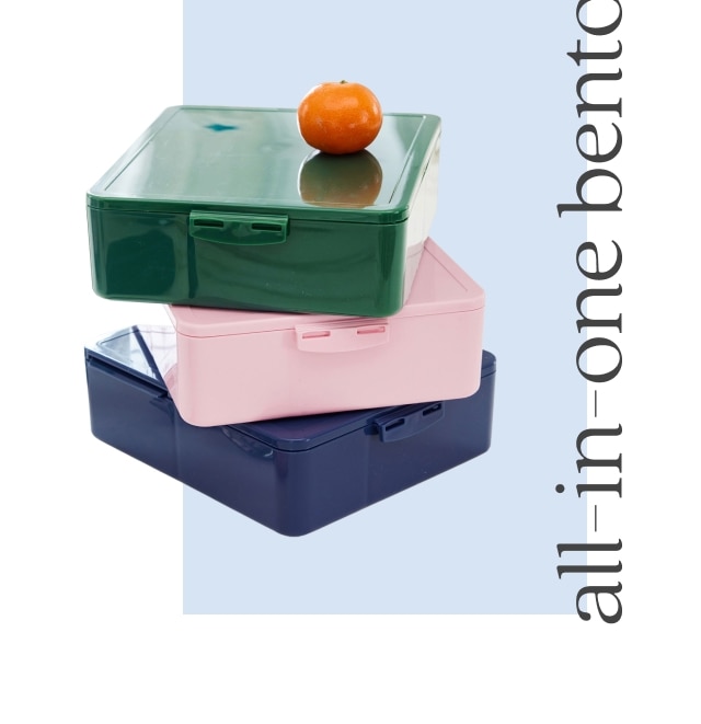 all-in-one bento