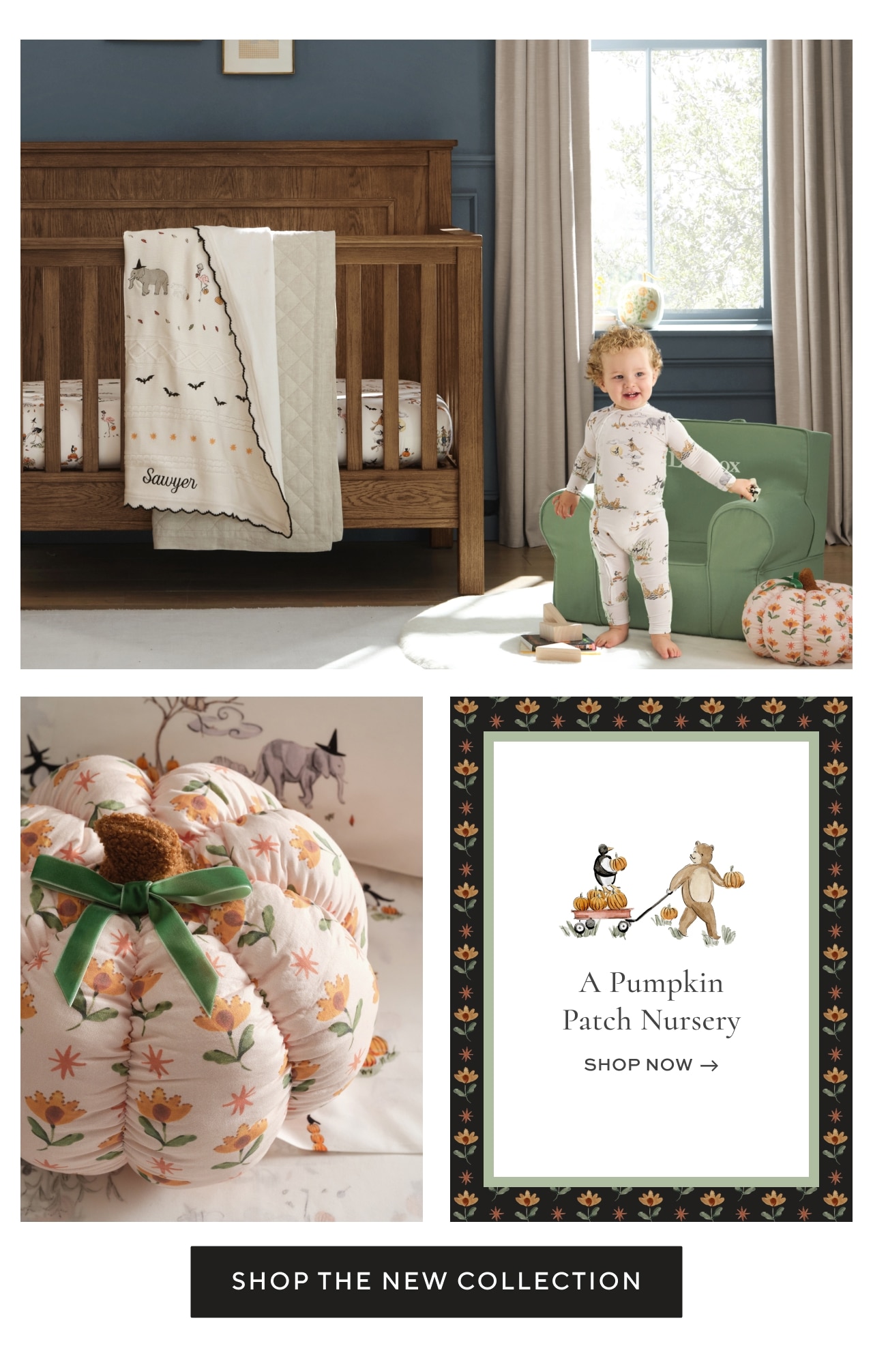 a pumpkin patch nursery
